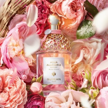 Miniatura Guerlain Aqua Allegoria Rosa Rossa EDT - Imagem 3
